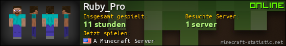 Benutzerleisten 560x90 für Ruby_Pro