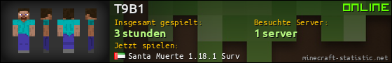 Benutzerleisten 560x90 für T9B1