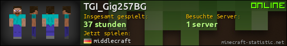 Benutzerleisten 560x90 für TGI_Gig257BG