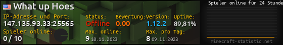 Userbar 560x90 mit Online-Player-Charts für Server 147.135.93.33:25565