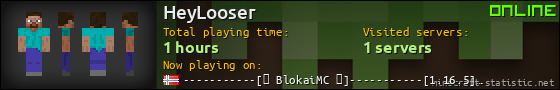 HeyLooser userbar 560x90
