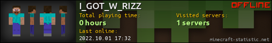 I_GOT_W_RIZZ userbar 560x90