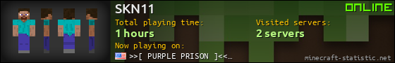 SKN11 userbar 560x90