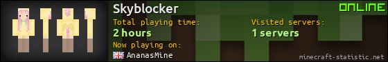 Skyblocker userbar 560x90