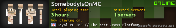 SomebodyIsOnMC userbar 560x90