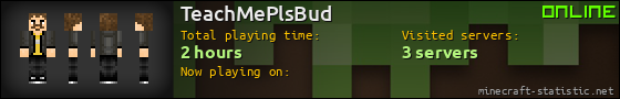 TeachMePlsBud userbar 560x90
