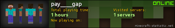 pay____gap userbar 560x90
