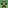 HybridTurtle33