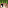 Morecrack29