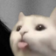 139.99.167.61:25565
