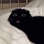 147.135.108.6:25565