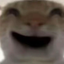 202.189.8.240:23105