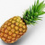 Bay_Ananas5769