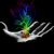 Daniel_Denny5106