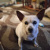 Jean_Richey3558