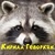 kirill_racoon