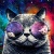 Spacecats13yt