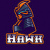 Hawk_3279