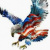 Merican_Freedom6816