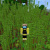 Avocadic Minecraft_3092