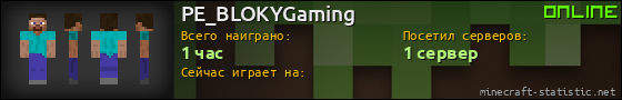 Юзербар 560x90 для PE_BLOKYGaming