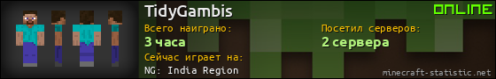 Юзербар 560x90 для TidyGambis