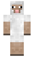 lucathemagician minecraft skin