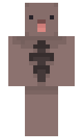 saTa minecraft skin