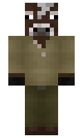 froggitt minecraft skin