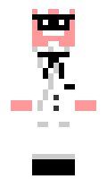 derp minecraft skin