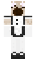 00893424419650 minecraft skin