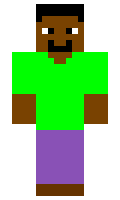 pokepro minecraft skin