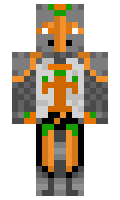 00df4c4413c9fa minecraft skin
