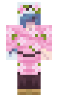 Mewoii minecraft skin