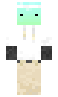 00ffcc27e0a7c1 minecraft skin