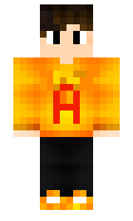 PellmehkA minecraft skin