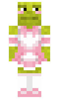 rqtty minecraft skin