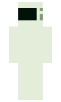 Microondas minecraft skin
