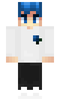 gsi minecraft skin