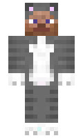 gato minecraft skin