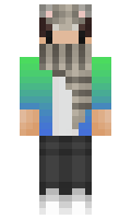 018e76a20cd481 minecraft skin