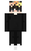 01959027a49211 minecraft skin
