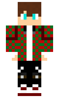 mogulrider minecraft skin