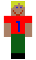 607 minecraft skin