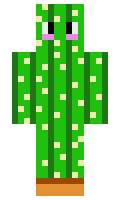 kaktuseis88 minecraft skin