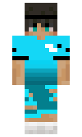 01de4ff9973a6c minecraft skin