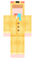 pola minecraft skin