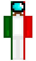 020a7e021474f2 minecraft skin