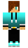 tim123 minecraft skin