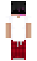 024dd2711e816a minecraft skin